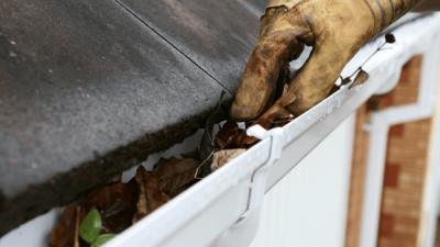 Gutter Cleaning